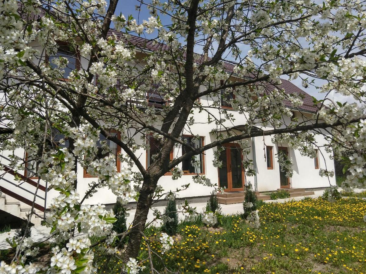 Vendel Guesthouse Lutoasa Exterior foto